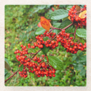 Dessous-de-verre En Verre lactée