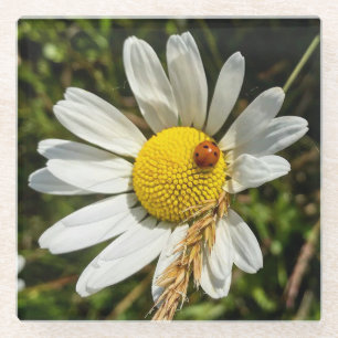Dessous-de-verre En Verre Ladybug sur Daisy