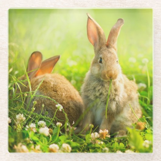 Dessous-de-verre En Verre Lapins de Pâques (Devant)