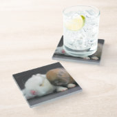 Dessous-de-verre En Verre Lapins nains de Netherland (Incliné)