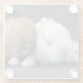 Dessous-de-verre En Verre Lapins nains de Netherland (Dos)