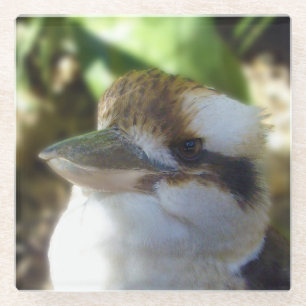 Dessous-de-verre En Verre L'Australien Kookaburra,