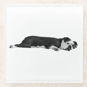 Dessous-de-verre En Verre Lazy Bulldog, Table nette