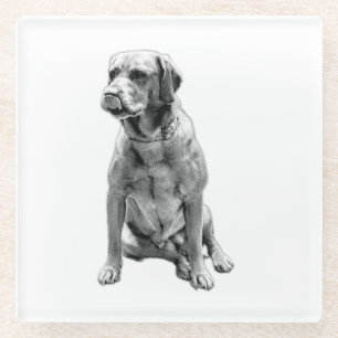 Dessous-de-verre En Verre Le chien qui n'a jamais Feuille