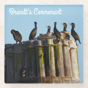 Dessous-de-verre En Verre Le Cormorant de Brandt