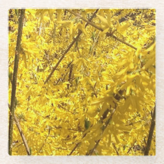 Dessous-de-verre En Verre Le printemps de Forsythia