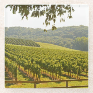 Dessous-de-verre En Verre Le vignoble et une vallée avec une forêt