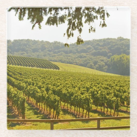 Dessous-de-verre En Verre Le vignoble et une vallée avec une forêt (Devant)