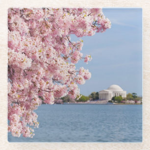 Dessous-de-verre En Verre Les Etats-Unis, Washington DC, cerisier