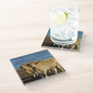 Dessous-de-verre En Verre Les Hautes-Terres d'or : La grâce des vaches de co