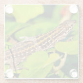 Dessous-de-verre En Verre Lézard italien (Dos)