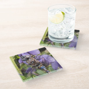 Dessous-de-verre En Verre Libellule Darner aux Yeux Bleus sur Fleur
