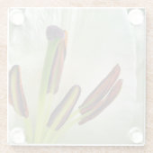 Dessous-de-verre En Verre Lilium Oriental Blanc (Dos)