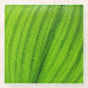 Dessous-de-verre En Verre Lily de la Vallée