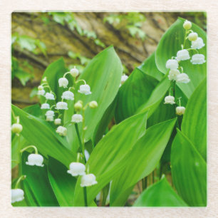Dessous-de-verre En Verre Lily de la Vallée
