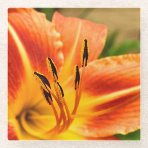 Dessous-de-verre En Verre Lily de tigre orange