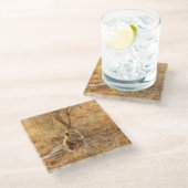 Dessous-de-verre En Verre Lion (Incliné)