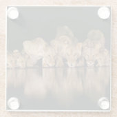 Dessous-de-verre En Verre Lion Pride Drinks at the Water Hole at Night (Dos)