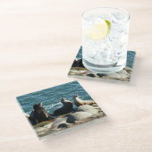 Dessous-de-verre En Verre Lions de la mer de San Diego (Incliné)