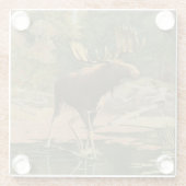 Dessous-de-verre En Verre L'orignal marche dans l'eau (Dos)