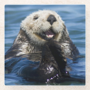 Dessous-de-verre En Verre Loutre de mer de Californie Enhydra lutris) se toi