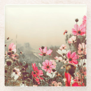 Dessous-de-verre En Verre Lumière du matin, cosmos rose fleurissant.