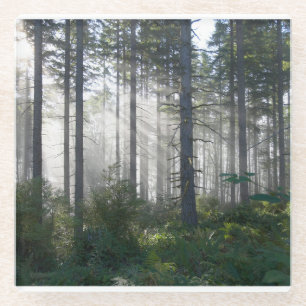 Dessous-de-verre En Verre Lumière du soleil traversant une forêt brumeuse