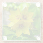 Dessous-de-verre En Verre Lysimachia punctata (Dos)