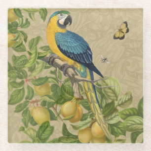 Dessous-de-verre En Verre Macaw Blue Jaune Tropical Jungle Antique