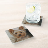 Dessous-de-verre En Verre Magnifique Yorkshire Terrier (Incliné)