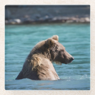 Dessous-de-verre En Verre Majestic Alaskan Brown Bear