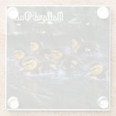 Dessous-de-verre En Verre Mallard Ducklings (Dos)