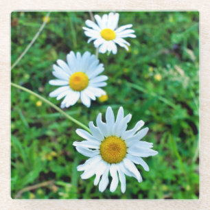 Dessous-de-verre En Verre Marguerites oculaires