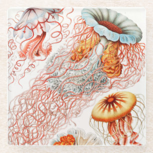 Dessous-de-verre En Verre Méduse, Discomedusae par Ernst Haeckel