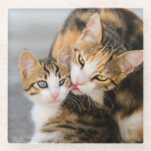 Dessous-de-verre En Verre Mère Chat Aime Cute Kitten Photo, Table-Décor