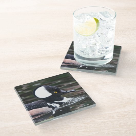 Dessous-de-verre En Verre Merganser Duck à capuchon dans l'étang (Incliné)