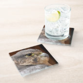 DESSOUS-DE-VERRE EN VERRE MERLIN FALCON OISEAU DE PREY (Incliné)