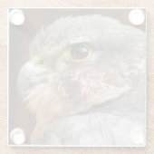 DESSOUS-DE-VERRE EN VERRE MERLIN FALCON OISEAU DE PREY (Dos)