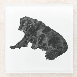Dessous-de-verre En Verre Minuscule galerie : Retriever Side-Rest