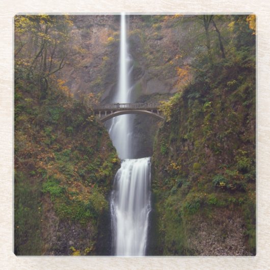Dessous-de-verre En Verre Multnomah tombe en défunt automne (Devant)