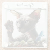 Dessous-de-verre En Verre Natation Sphynx Chat (Dos)