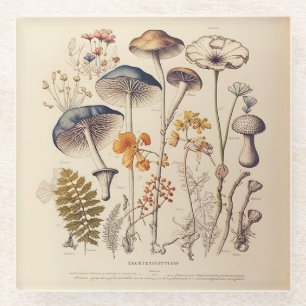 Dessous-de-verre En Verre Naturaliste de champignons vintages