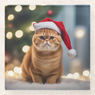 Dessous-de-verre En Verre Noël Exotique Shorthair