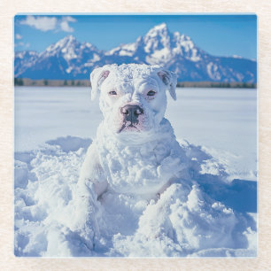 Dessous-de-verre En Verre Noël Pitbull Chien Snowman