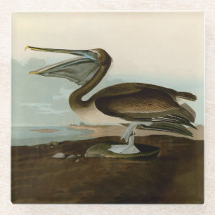 Dessous-de-verre En Verre Œuvre d'art de Pélican Brun de John James Audubon