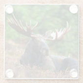 Dessous-de-verre En Verre Oie (Dos)