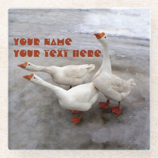 Dessous-de-verre En Verre Oie blanche (Devant)