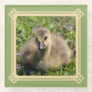 Dessous-de-verre En Verre Oie de bébé (Gosling)