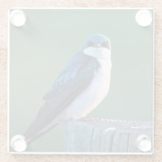 Dessous-de-verre En Verre Oiseau curieux