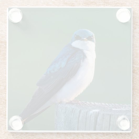 Dessous-de-verre En Verre Oiseau curieux (Dos)